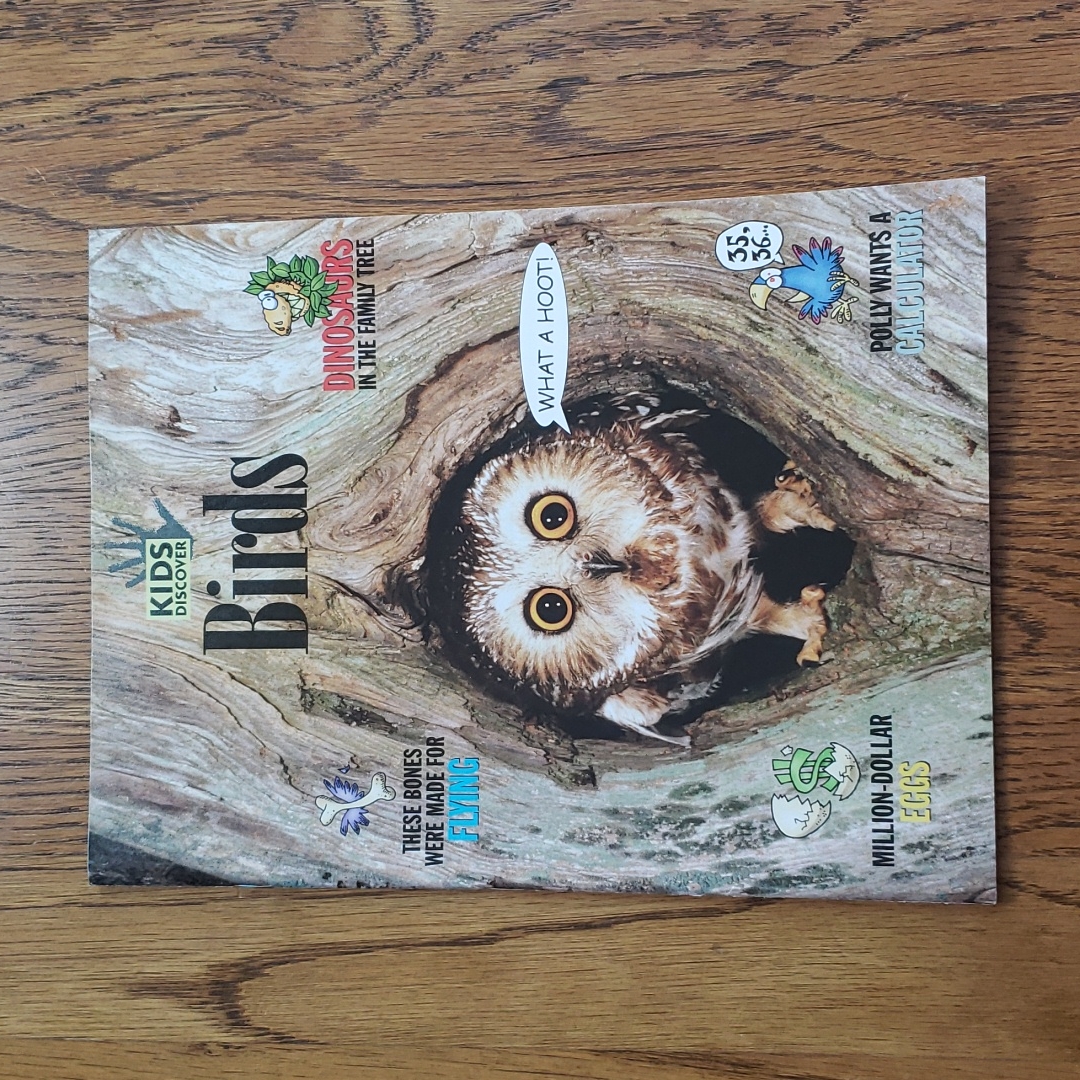 Vintage Y2k Kids Discover Magazine Birds Volume 16 Issue 11 November 2006